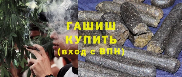 индика Вяземский