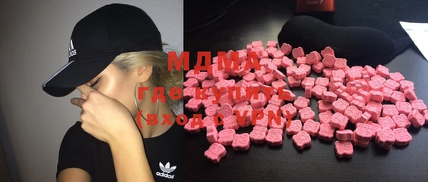 индика Вяземский