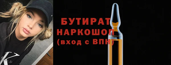 индика Вяземский