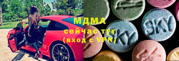 индика Вяземский