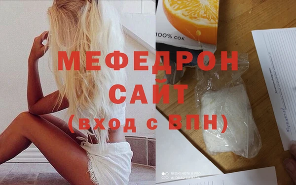 индика Вяземский