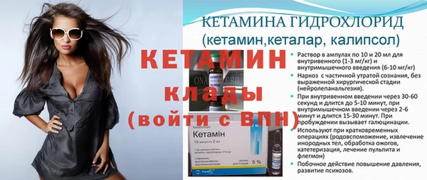 индика Вяземский