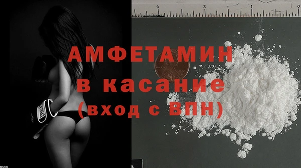 индика Вяземский