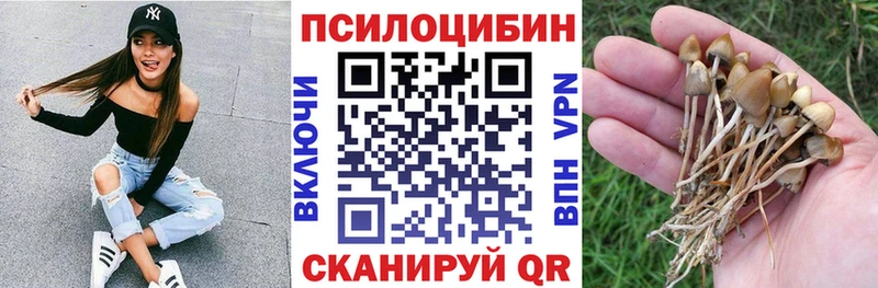 дарнет шоп Новошахтинск Галлюциногенные грибы GOLDEN TEACHER